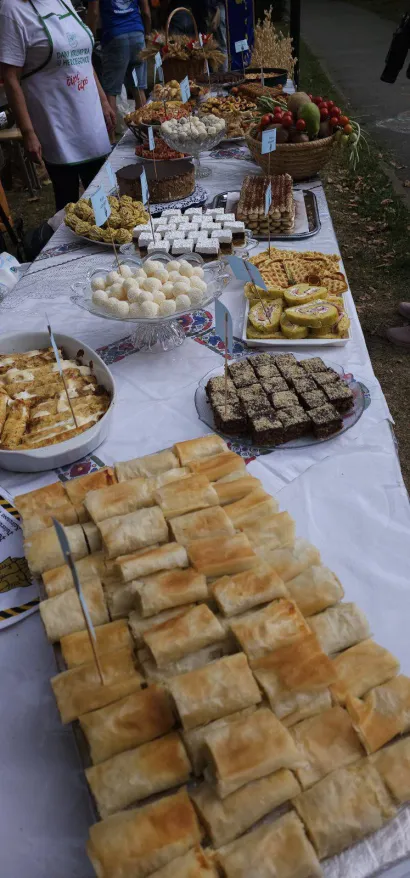 Foto: Češka beseda Hercegovac