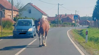 Foto: Čitatelj (ilustracija)