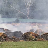 Foto: Emica Elvedji /Cropix (ilustracija)