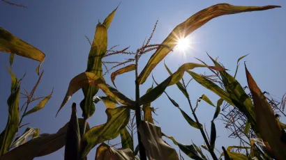 Foto: Emica Elveđi/CROPIX