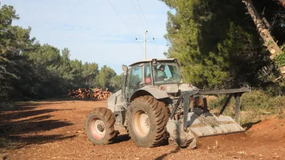 Foto: Goran Sebelic/CROPIX (Ilustracija)