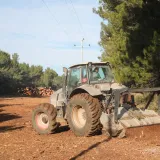 Foto: Goran Sebelic/CROPIX (Ilustracija)