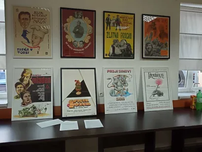 Bogata zbirka oduševit će svakog ljubitelja filmova/Foto: Slavica Trgovac Martan