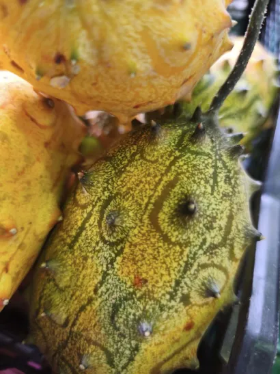 Foto: Gradska tržnica Daruvar