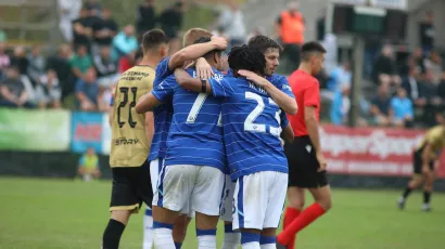 Slavlje igrača Dinama iz Zagreba/Foto:: Željko Hajdinjak/CROPIX