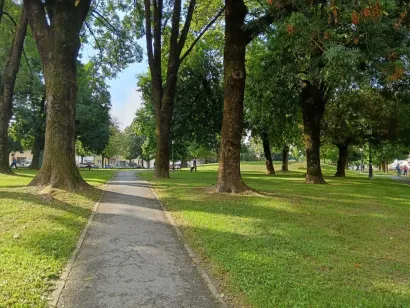 Postojeća stabla ostaju, a stiže i novo zelenilo/Foto: Slavica Trgovac Martan