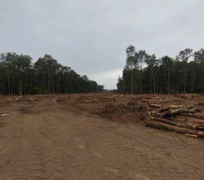 Foto: Facebook Dario Hrebak