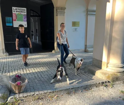 Prilikom ulaska u muzej psi moraju biti na povodcu/Foto: Zavičajni muzej Daruvar