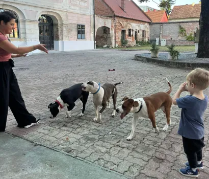 U Zavičajni muzej njuškice su dobrodošle/Foto: Zavičajni muzej Daruvar