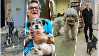 Foto: Nikica Puhalo, PKIČ Daruvar, Zavičajni muzej Daruvar