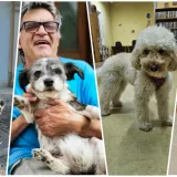 Foto: Nikica Puhalo, PKIČ Daruvar, Zavičajni muzej Daruvar