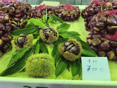 Kesteni stižu s OPG-a Živković/Foto: Gradska tržnica Daruvar
