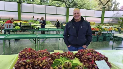 Foto: Gradska tržnica Daruvar