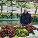 Foto: Gradska tržnica Daruvar