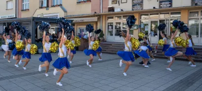 Foto: Predrag Uskoković/Grad Daruvar