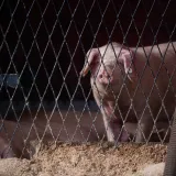 Foto: Luka Gerlanc/CROPIX (ilustracija)