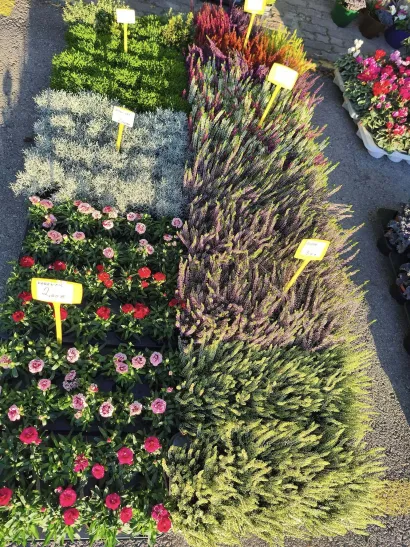 Foto: Gradska tržnica Daruvar