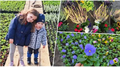 Foto: Gradska tržnica Daruvar