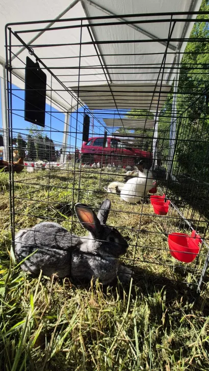Foto: Općina Veliko Trojstvo