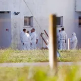 Prizor iz Sokolovca/Foto: Vlado Kos/CROPIX