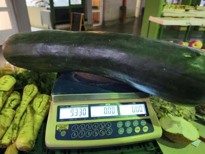 Foto: Gradska tržnica Daruvar