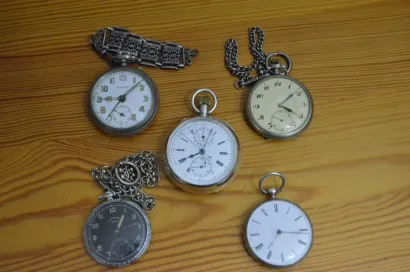 Foto: Marko Boljfetić