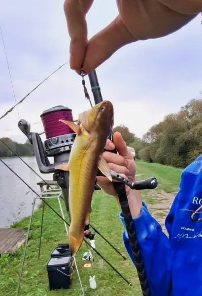 Mnoge ribe vraćene su natrag, na ovoj se vidi i zaštoFoto: Privatni album