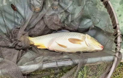 Foto: Privatni album