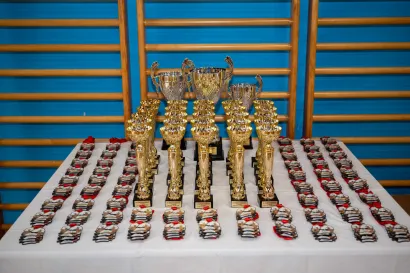 Foto: Predrag Uskoković/Grad Daruvar