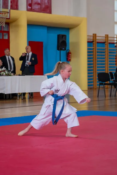 Foto: Predrag Uskoković/Grad Daruvar