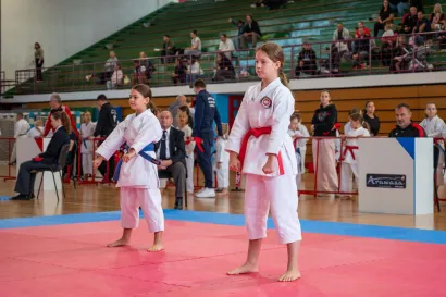 Foto: Predrag Uskoković/Grad Daruvar