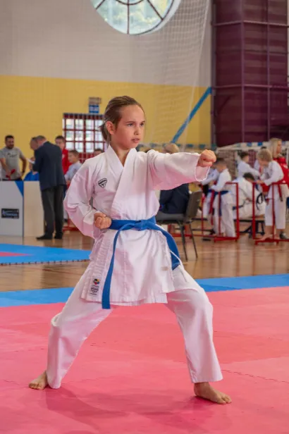 Foto: Predrag Uskoković/Grad Daruvar