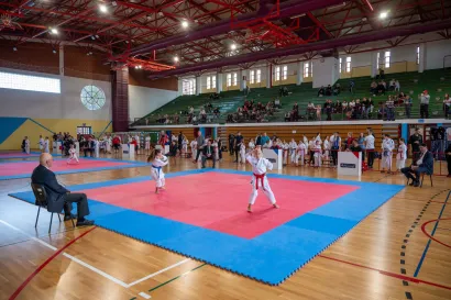 Foto: Predrag Uskoković/Grad Daruvar