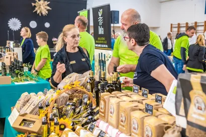 Foto: Grad Čazma (Davor Kirin)