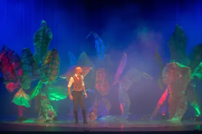 Foto: Predrag Uskoković/Grad Daruvar