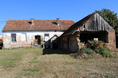 Foto: Slavica Trgovac Martan