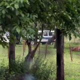 Policija sumnja da je 22-godišnji mladić silovao 16-godišnjakinju još u svibnju/Foto: Danijel Soldo/CROPIX