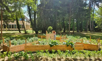 Foto: Nikica Puhalo/MojPortal.hr