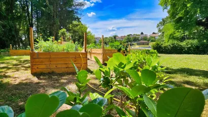 Foto: Nikica Puhalo/MojPortal.hr