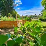 Foto: Nikica Puhalo/MojPortal.hr