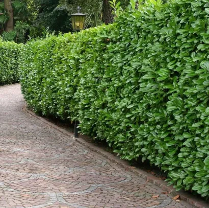 Foto: Daruvarske toplice