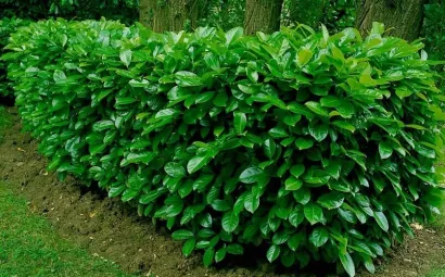 Foto: Daruvarske toplice