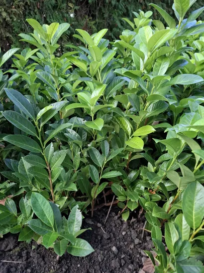 Foto: Daruvarske toplice