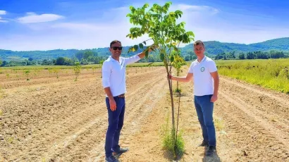 Neven Šimić i Davor Počijak odlučili su podići vlastite nasade oraha Chandler/Foto: Foto: Maja Celing Celić
