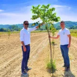 Neven Šimić i Davor Počijak odlučili su podići vlastite nasade oraha Chandler/Foto: Foto: Maja Celing Celić