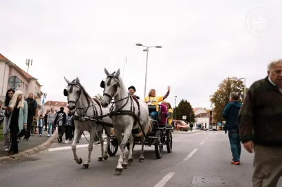Mnogi su se vozili u kočiji s lipicancima/Foto: Antonio Pejša/PHI media
