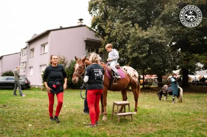Djeca su mogla jahati konje/Foto: Antonio Pejša/PHI media