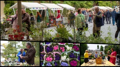 Foto: MojPortal/Predrag Uskoković/Grad Daruvar