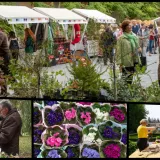 Foto: MojPortal/Predrag Uskoković/Grad Daruvar