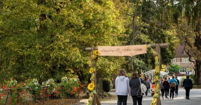 Foto: Predrag Uskoković/Grad Daruvar